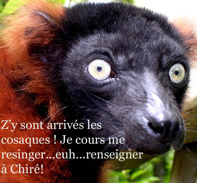 645px-Joooule_-Programme_sensible-_-_Vallée_des_singes_(by-sa) copie