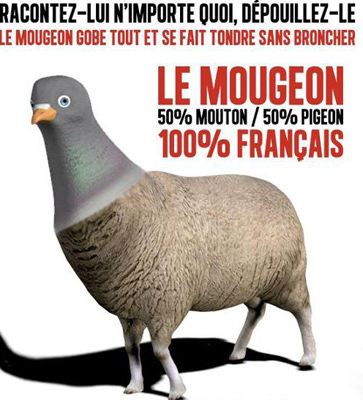 le_mougeon