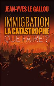 I-Moyenne-21648-immigration-la-catastrophe-que-faire.net