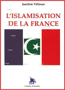 I-Moyenne-10678-l-islamisation-de-la-france.net
